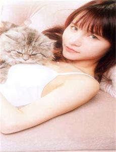 灰姑娘2015